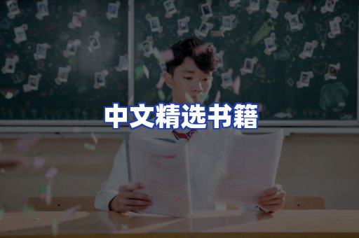 中文精选书籍